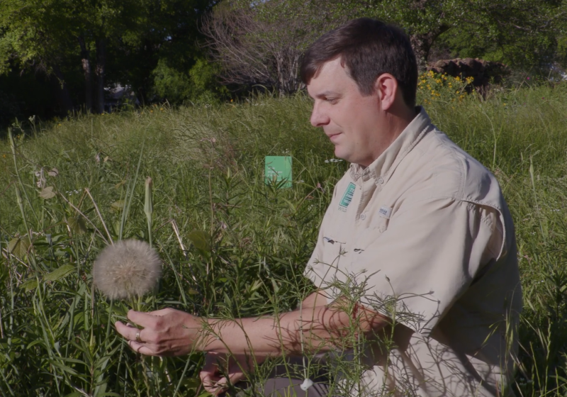 Virtual Expert-led Nature Hikes